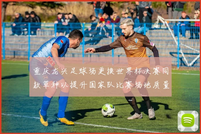 重庆龙兴足球场更换世界杯决赛同款草种以提升国家队比赛场地质量
